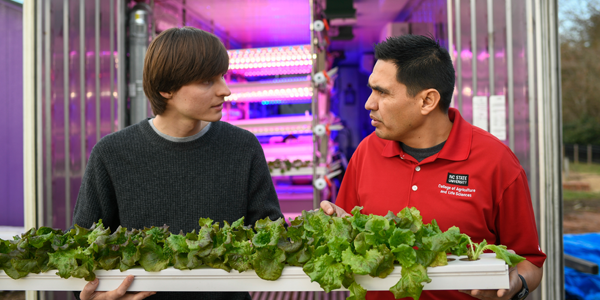 Faculty Plant Seeds for Student Opportunity and Innovation